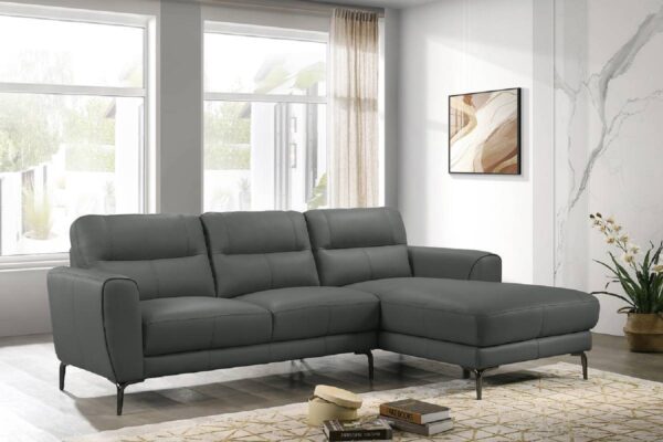 sectional with chaise, stylish, modern style, furniture,living room
