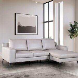 Moder light gray leather match, sectional